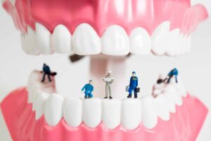 歯の模型に作業員の人型フィギュアが置かれている