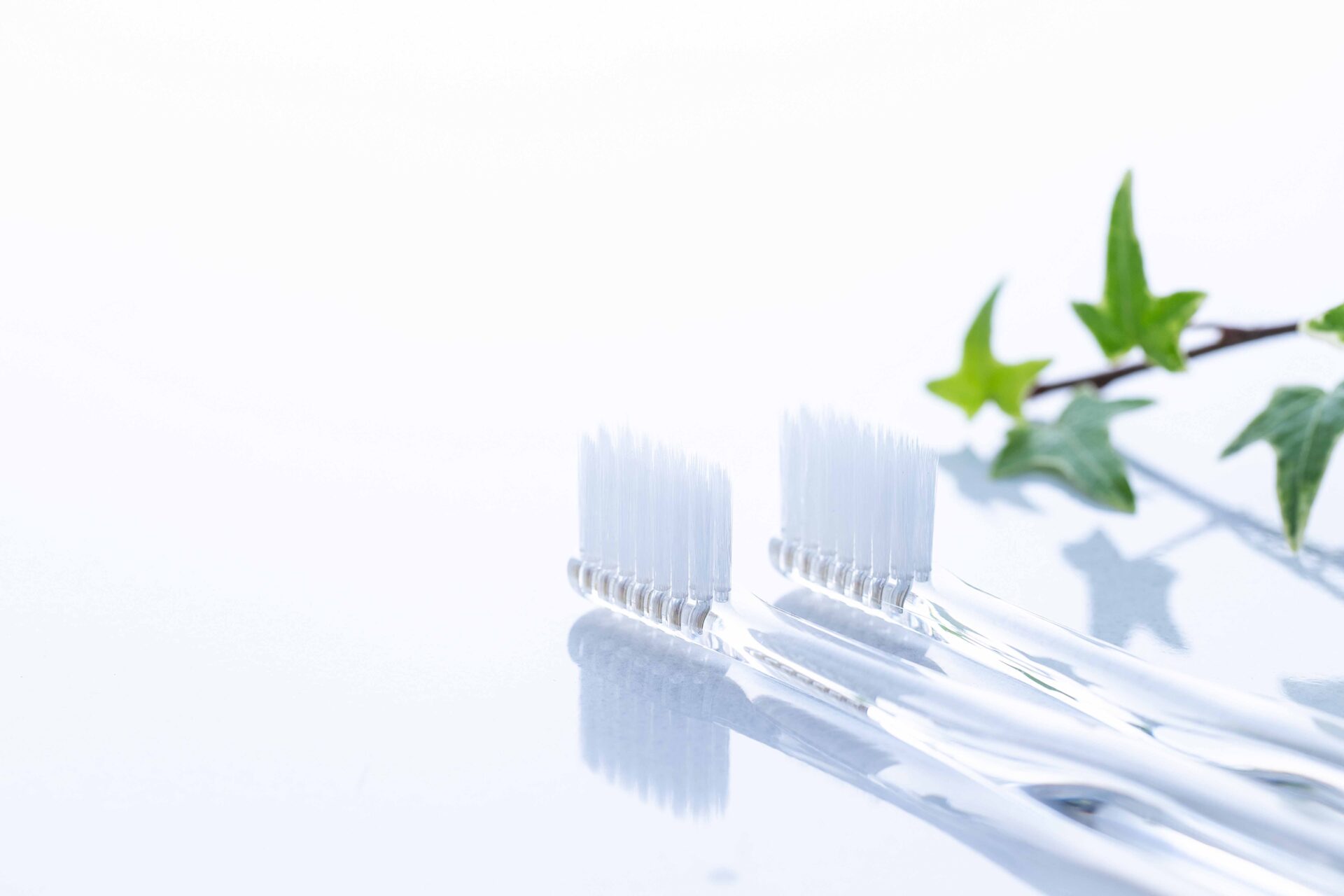 白い台の上に2本の歯ブラシが置かれている